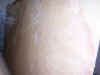 100_0138.jpg (174233 bytes)